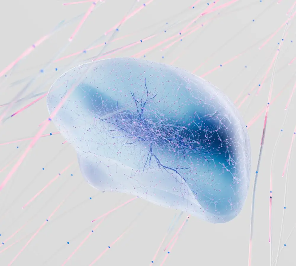 Neurociência